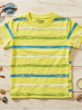 Garanimals Graphic Stripe Tee 5T Yellow
